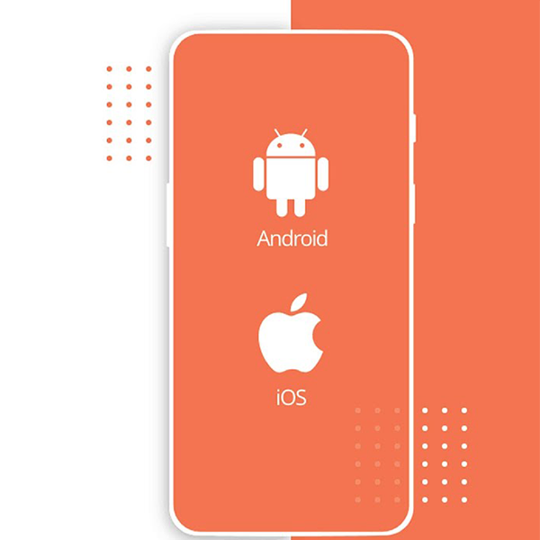 React Native Section